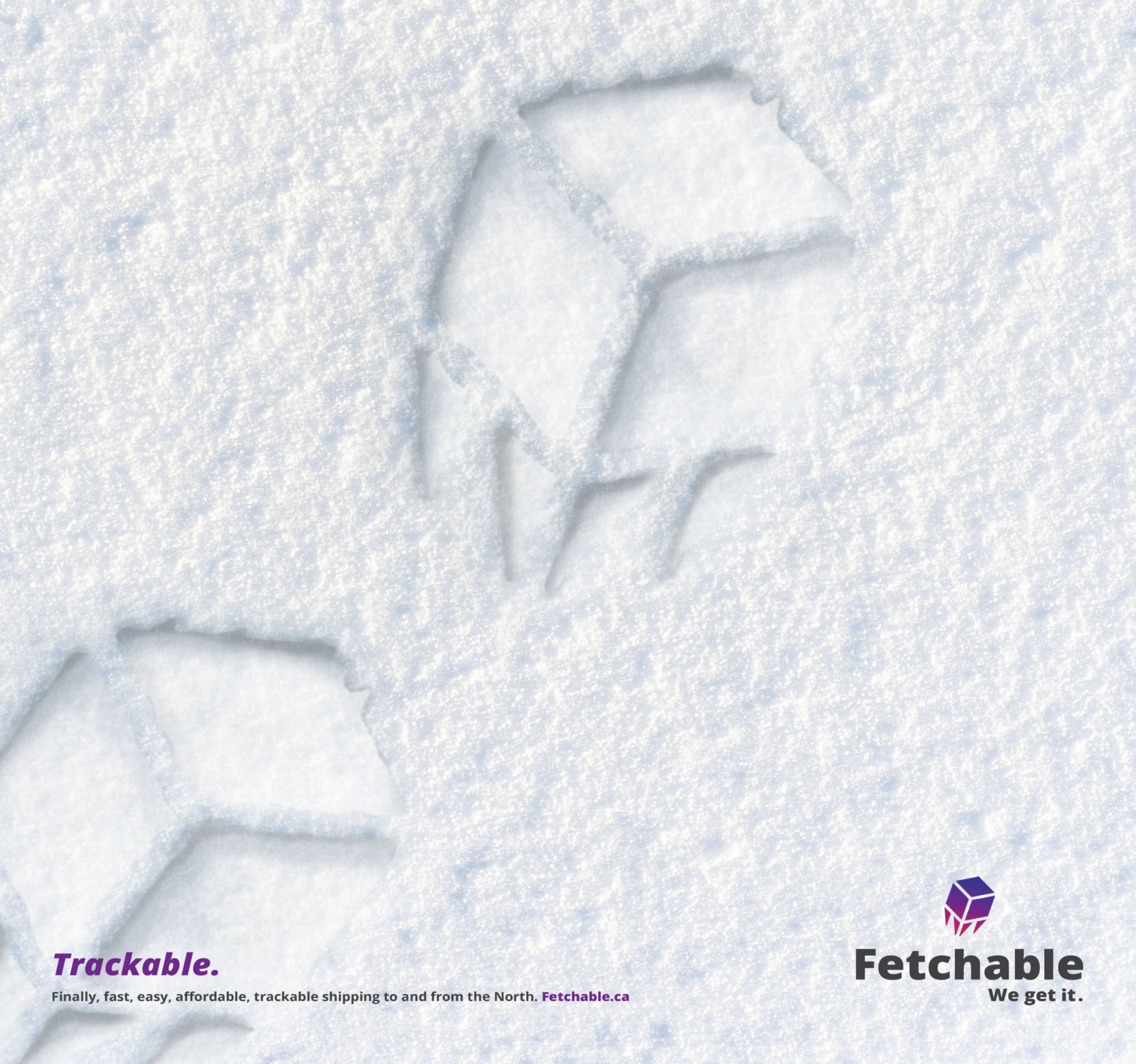 Fetchable tracks in the snow for a campaign